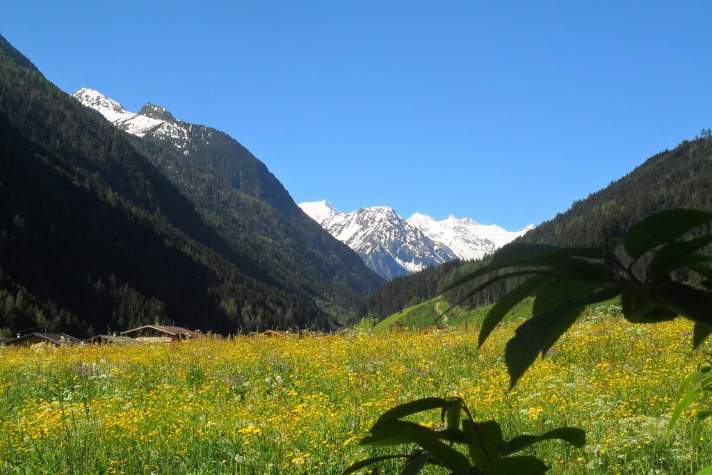 Landhaus Mueller Apartment Neustift im Stubaital Room photo